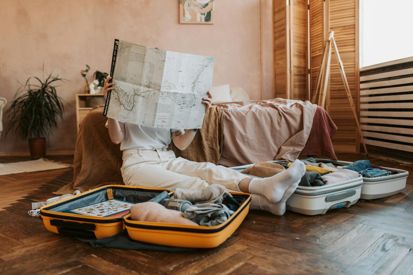 person looking at a map