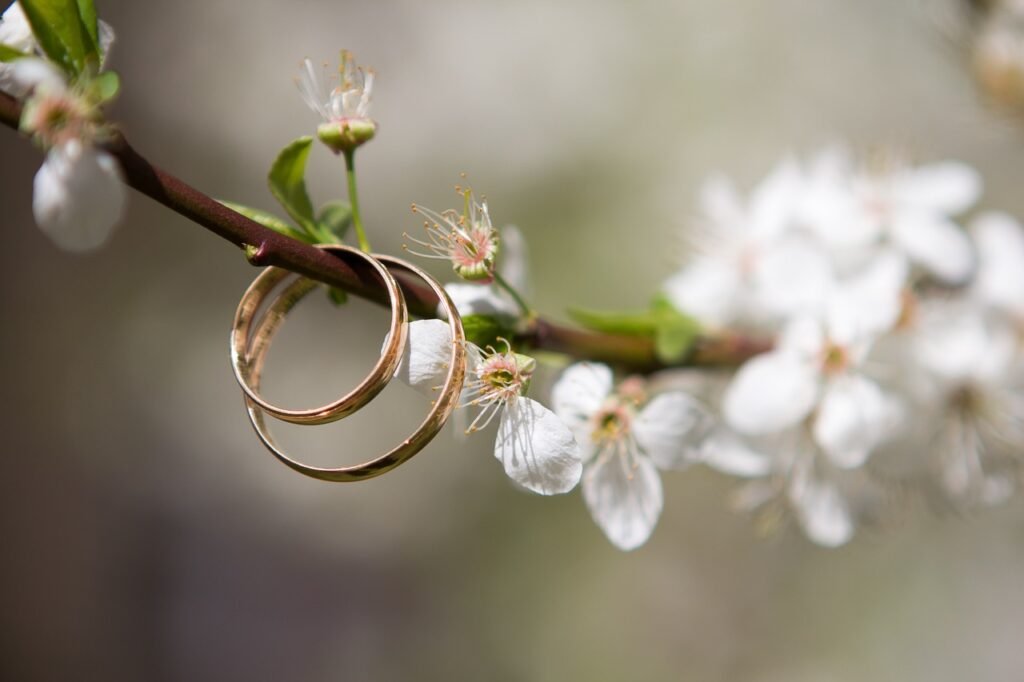 wedding, rings, spring